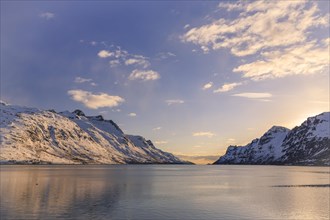 Ersfjord in winter