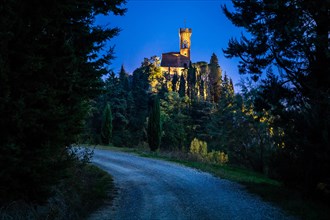 Road through forest overlooking illuminated clock tower Torre dell'Orologio