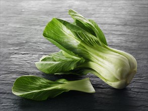 Pak Choi or Chinese cabbage