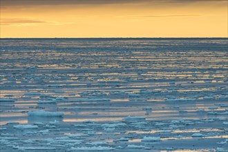 Ice floes