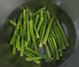 Fresh green Garden asparagus (Asparagus officinalis) in an aluminium bowl