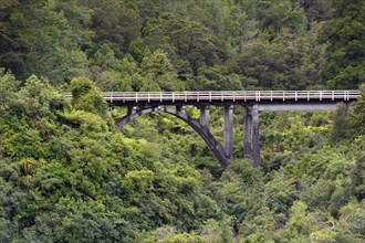 Railway bridge in the jungle