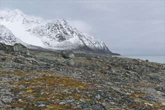 Rocky landscape with moss