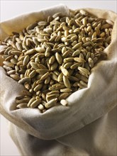 Organic rye grains