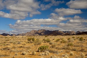 A blue sky with white clouds over the mountainous desert landscape