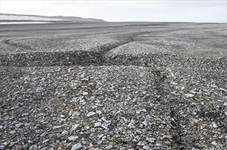 Frost cracks in the frost ground patterns in the Arctic ice desert