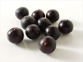 Fresh whole Acai berries (Euterpe oleracea)