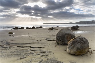 Moeraki Boulders on the beach with sunbeams in the early morning