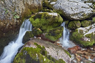 Source of the Soca River