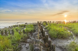 Border for land reclamation in the Wadden