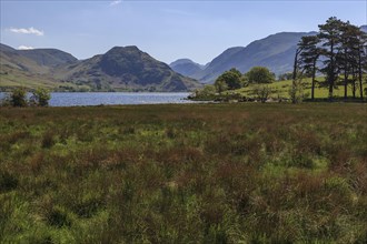 Lake of Crummock Water