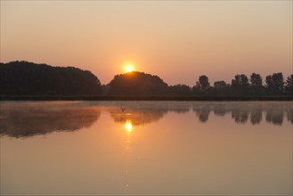 Sunrise over a pond landscape