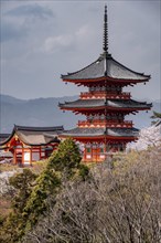 Pagoda and Zuigudo Hall of the Kiyomizu-dera Temple