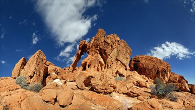 Red sandstone formation Elephant Rock