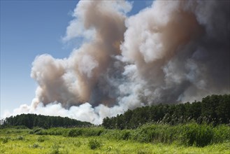 Fire on a grain field near Tutow