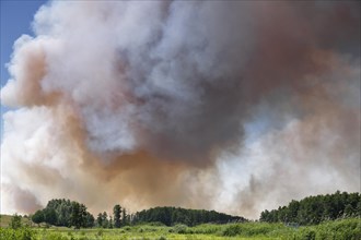 Fire on a grain field near Tutow