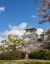 Osaka Castle in Osaka Castle Park