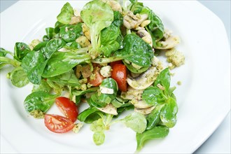 Lamb's lettuce with tomatoes and mushrooms