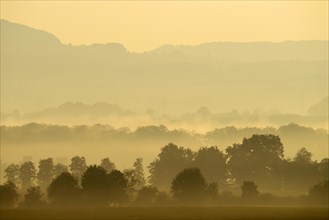 Morning fog atmosphere in Reuss Valley