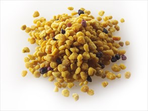 Fresh pollen grains