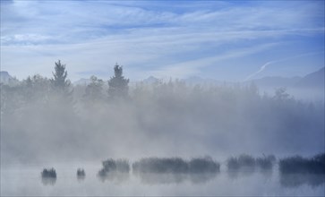 Morning fog over a moor pond