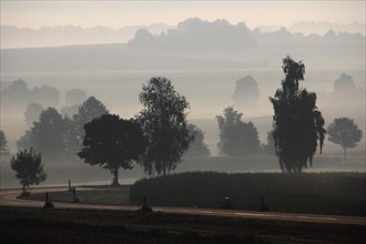 Country road