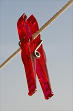 Red peg on a clothesline