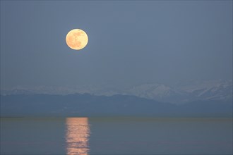 Full moon rising over Lake Constance and Mount Pfaender