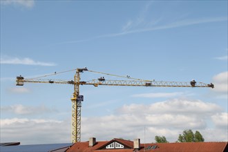 White storks (Ciconia ciconia) and ten white stork nests on a construction crane