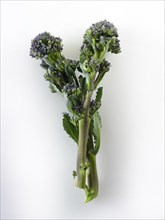 Purple broccoli spears