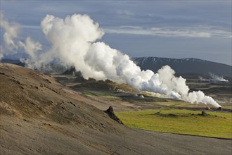 Steam column in geothermal area