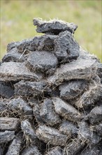 Stack of extracted peat from the Scottish Highland moors