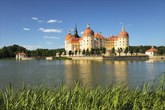 Moritzburg Castle with lake