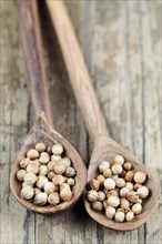 Coriander seeds on wooden spoons