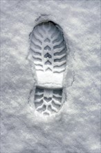 Shoeprint in snow