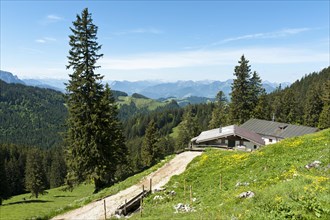 Hut on the Schreck-Alm alpine pasture