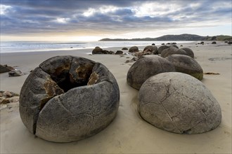 Moeraki Boulders on the beach in the early morning