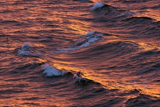 Waves in the evening light