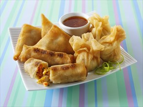 Traditional Chinese spring rolls