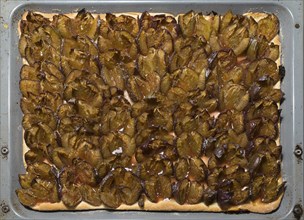 Fresh plum cake on a baking tray