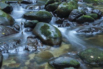 Grobbach creek near Geroldsauer Wasserfall waterfall