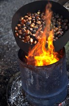 Organic chestnuts being roasted