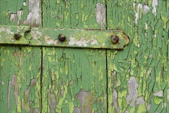 Peeling green paint on wooden boards and a hinge