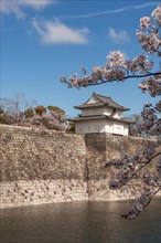 Osaka Castle with moat to the cherry blossom
