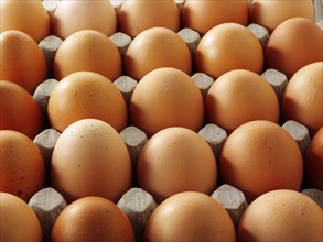 Fresh brown eggs from free-range