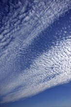 Fluffy clouds or cirrocumulus clouds