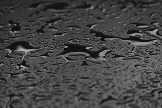 Water drops on a plastic surface