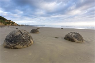 Moeraki Boulders on the beach