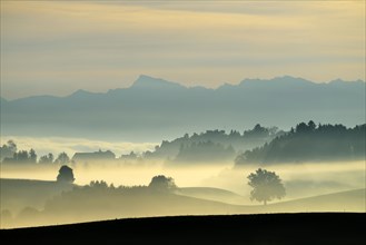 Autumn fog atmosphere in Swiss Plateau or Central Plateau