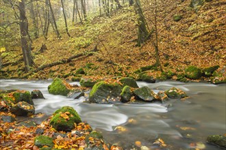 Holzbach stream in the Holzbachschlucht gorge